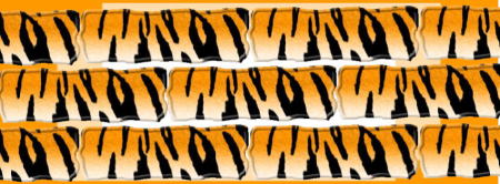 虎（タイガー）のカバー画像（写真・素材）