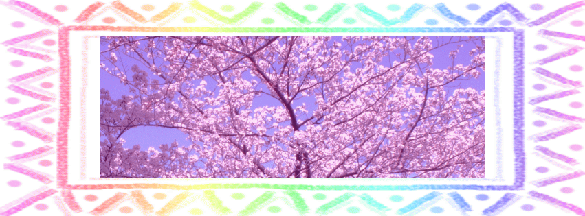 桜の花フェイスブック無料カバー写真（フレームあり）