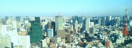 カバー写真（東京スカイツリーと東京タワー）