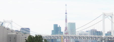 お台場方面から見た東京タワーのカバー写真